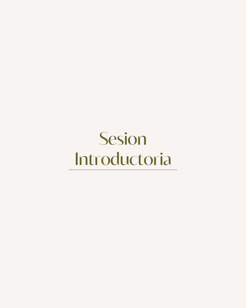 Sesión Introductoria Gratis – Conversemos con intención